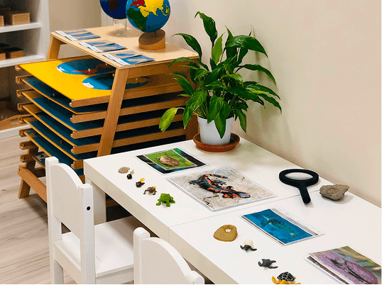 What sets a Montessori school apart from a traditional one is not WHAT is learned, but HOW it is learned.